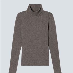 Everlane Pima microrib turtleneck